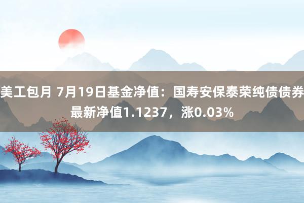 美工包月 7月19日基金净值：国寿安保泰荣纯债债券最新净值1.1237，涨0.03%